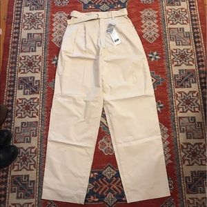 Uniqlo U Pleated Pants